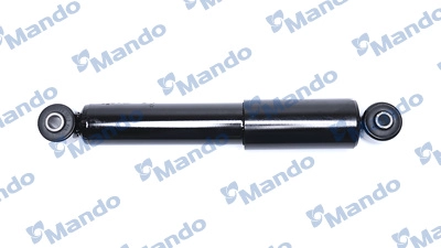 MSS021253