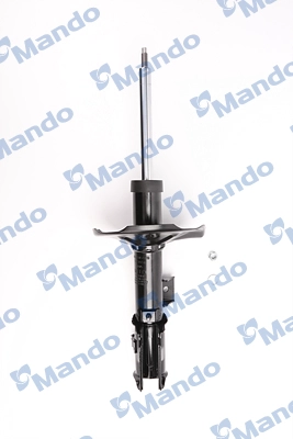 MSS016019