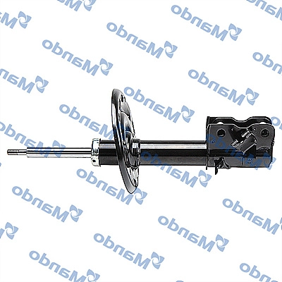 MSS020039