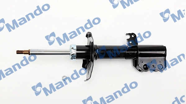 MSS017305