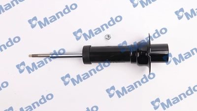 MSS016107