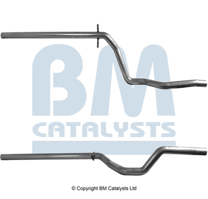 BM51069