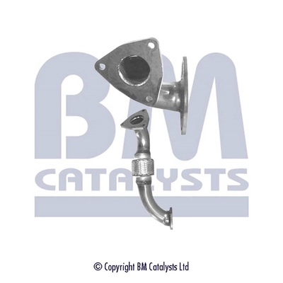 BM70309
