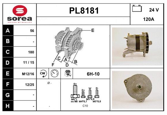 PL8181