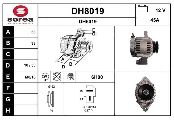DH8019