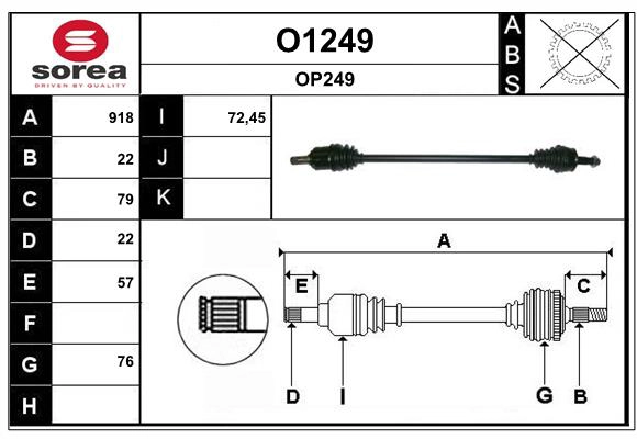 O1249