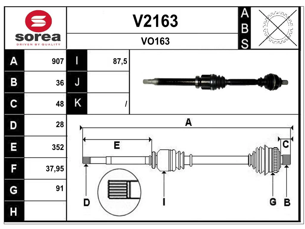 V2163