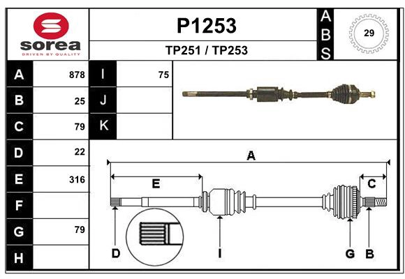 P1253