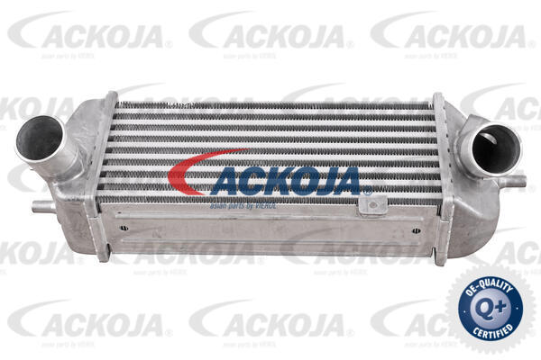 A52-60-0009