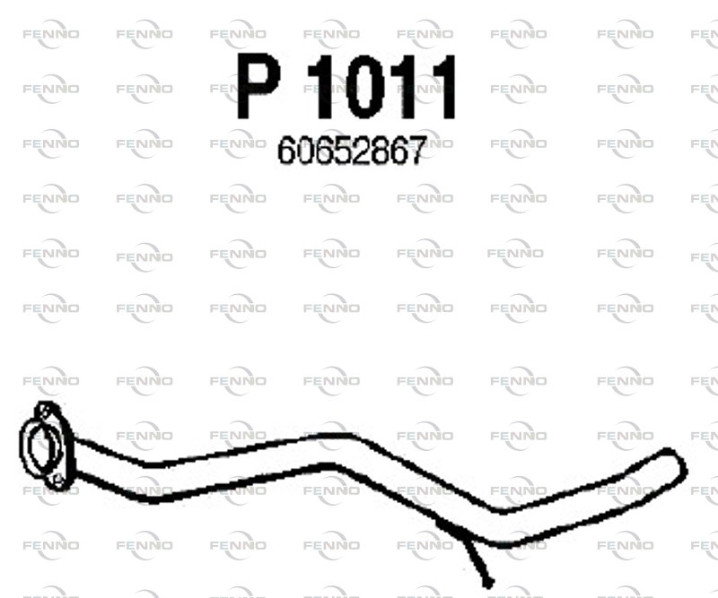 P1011