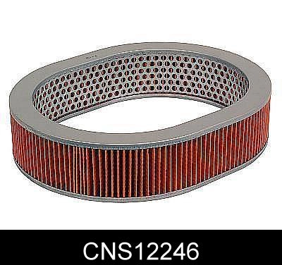 CNS12246