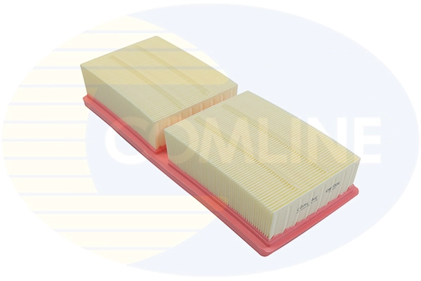 EAF1004