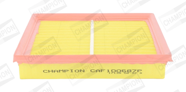 CAF100687P