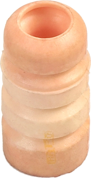 R55250