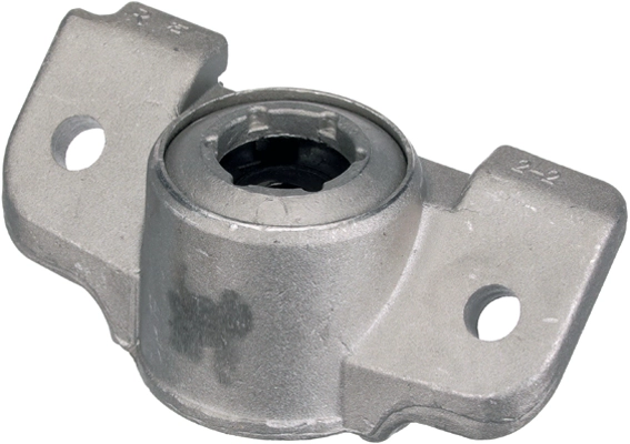 R55559
