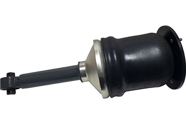 62004
