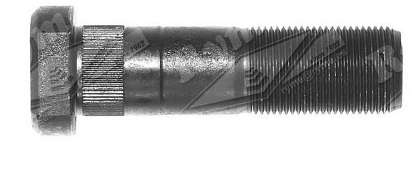 3384015071S1