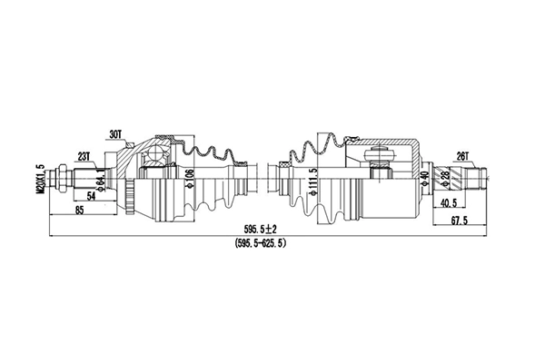 DDS250100