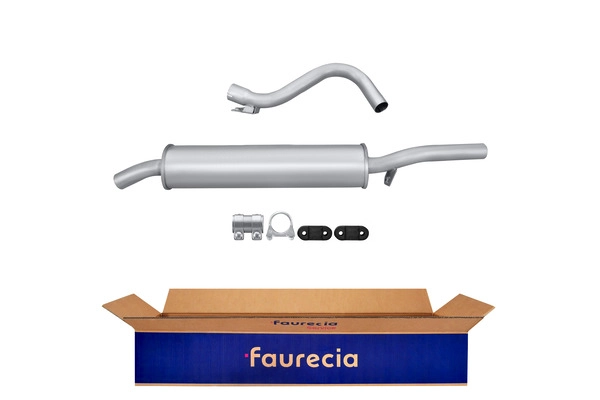 FS25009