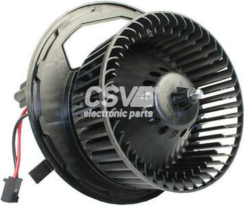 CST2191