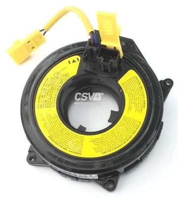 CAV1006