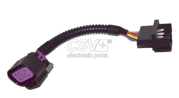 CCI5006