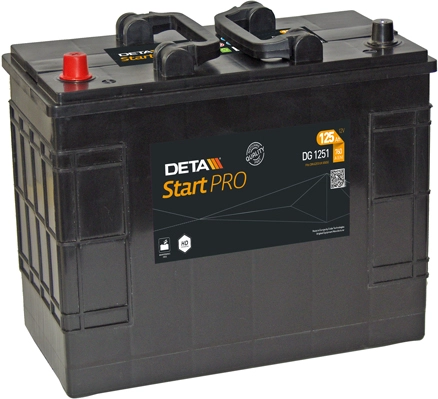 DG1251