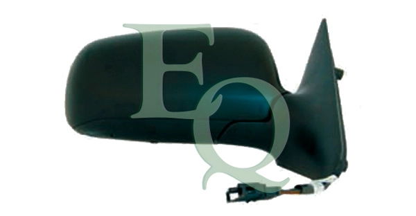 RS00999