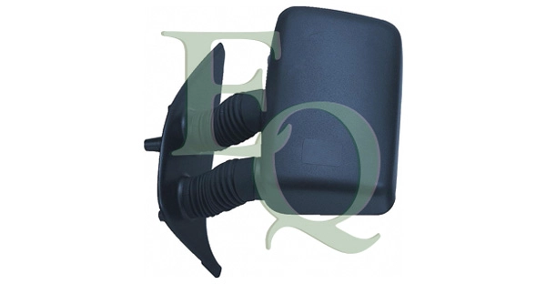 RS00209