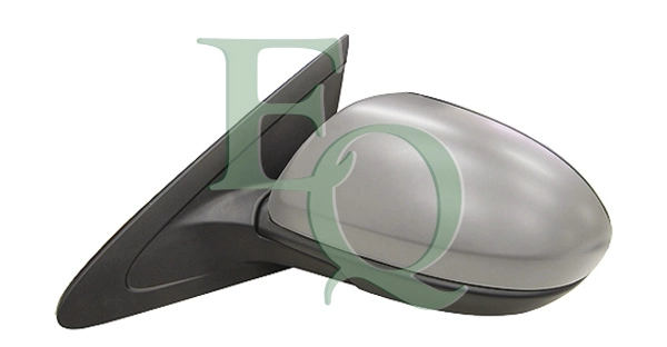 RS02889