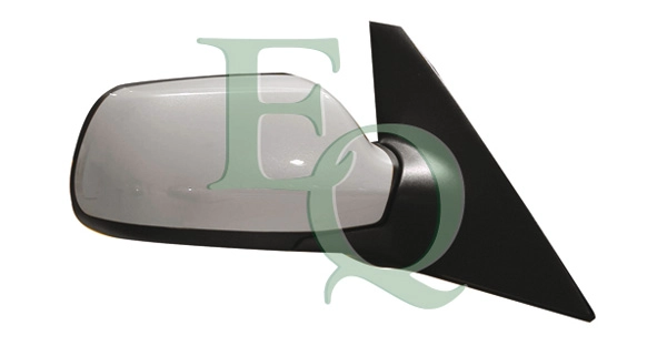 RS00602