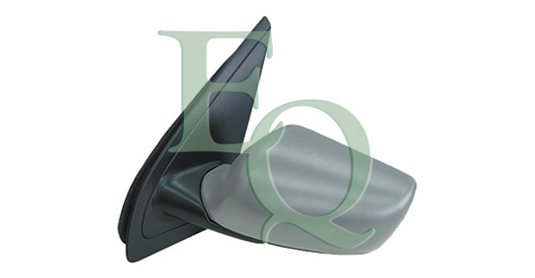 RS00009