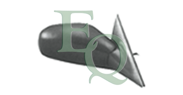 RS01166