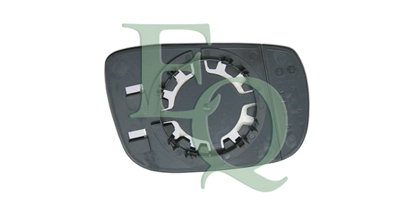 RS00699