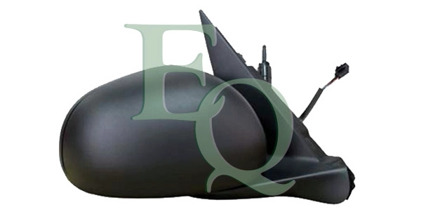 RS01528