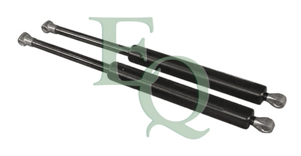 MG34041