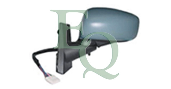RS00306