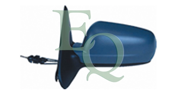 RS00991