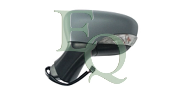 RS01339