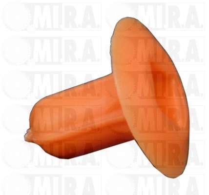 80/0025
