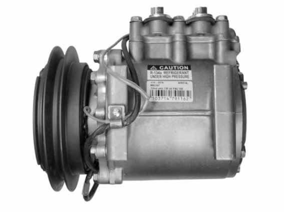 MK447398