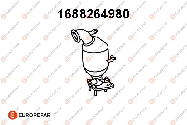55559629