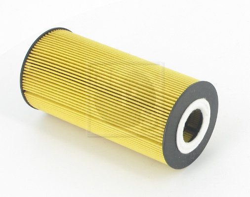D131O04