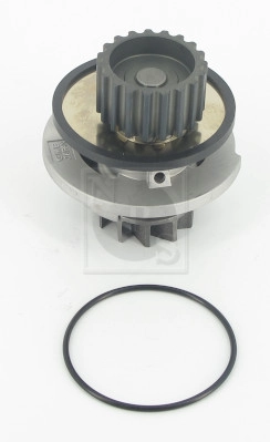 D151O06