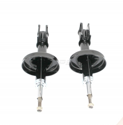 R497T01