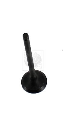 T921A48