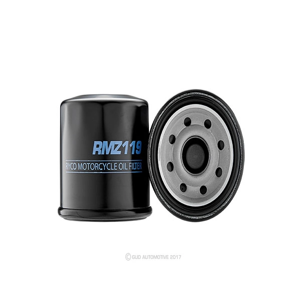RY-RMZ119