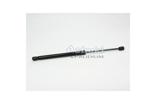 ASH21-0004