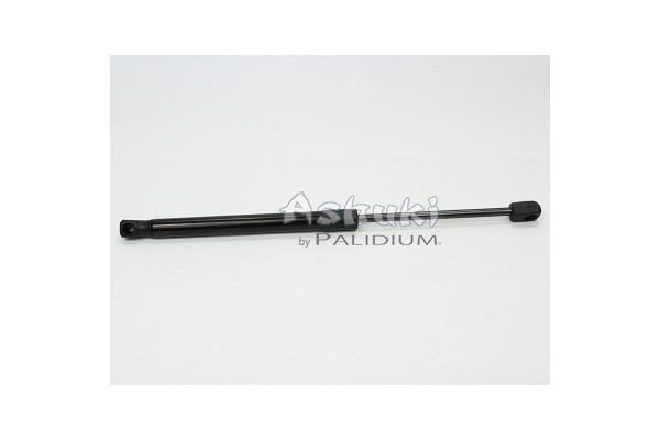 ASH21-0002