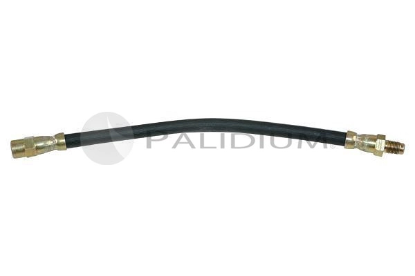 PAL3-0017